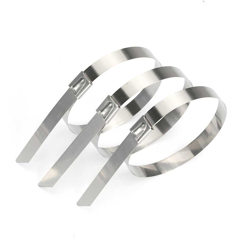 Self-locking Stainless Steel Ties