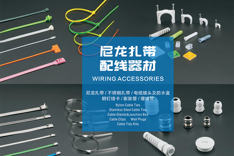 NLZD-cable Tie Accessories