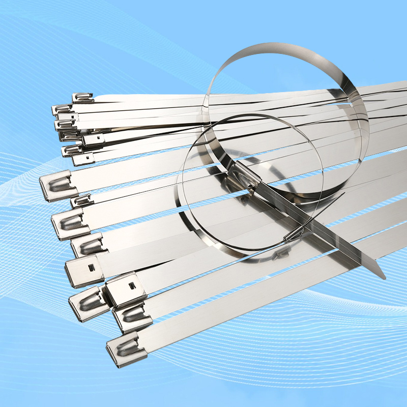 Stainless Steel Ties
