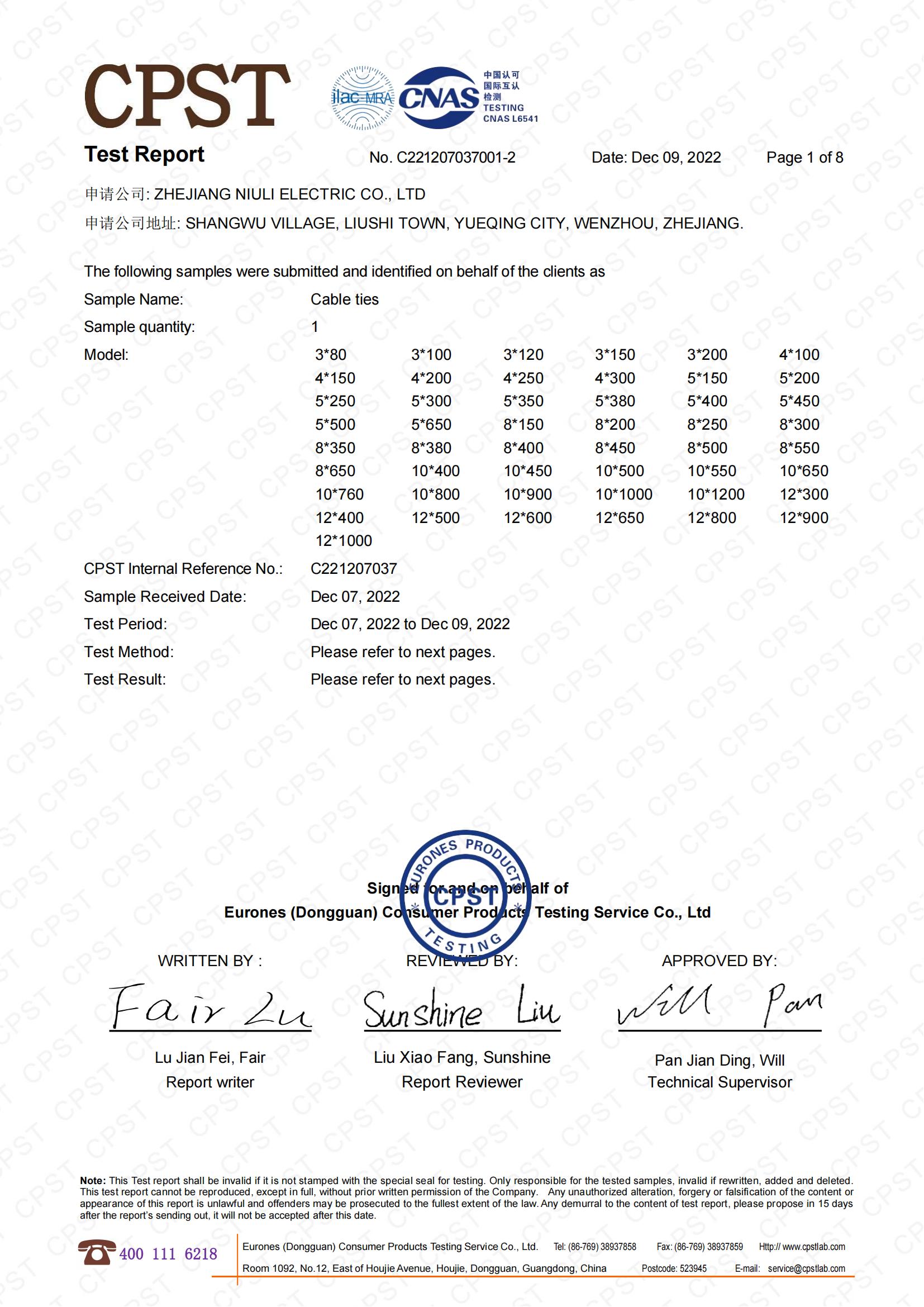 CPST Test Report