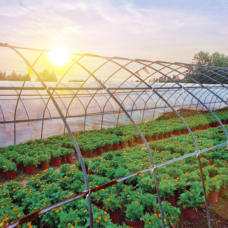 Application Of Cable Ties In Agricultural Greenhouses