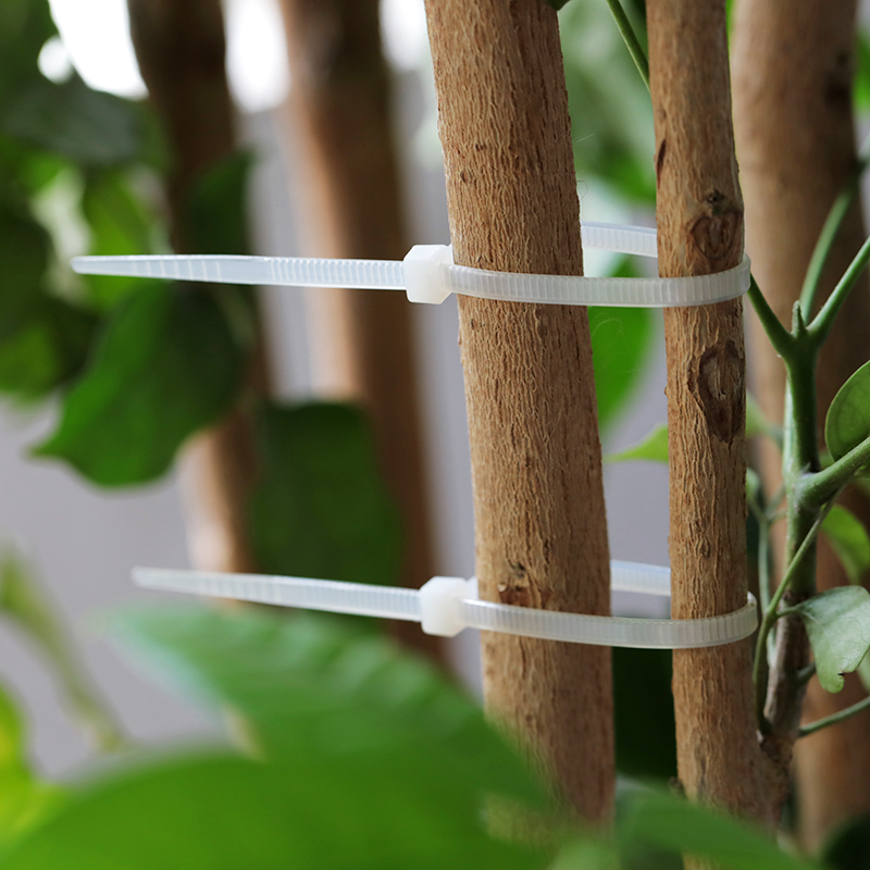 Application Of White Nylon Cable Ties In Gardening