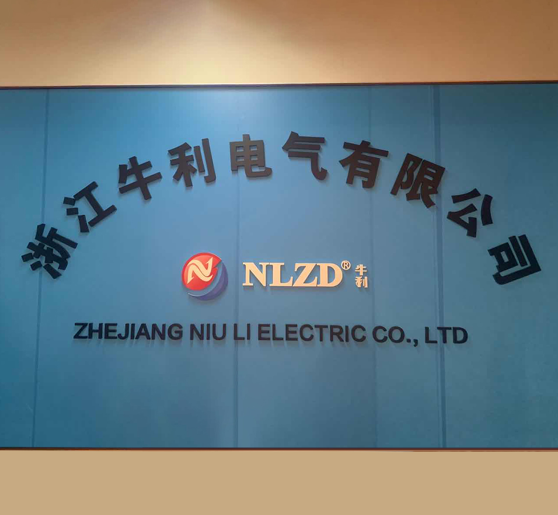 NLZD-Company logo